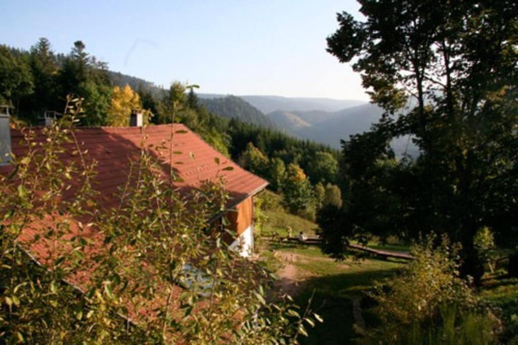 Appartement Dans Vielle Ferme Au Coeur Des Vosges Plainfaing Luaran gambar
