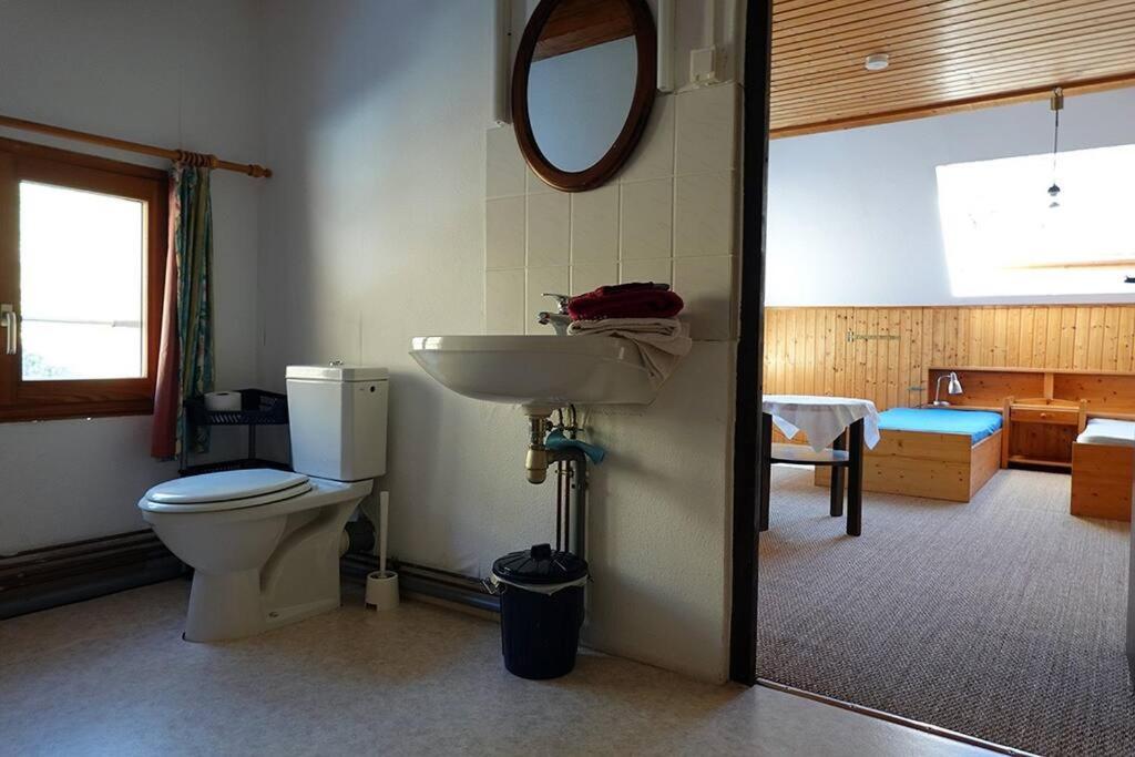 Appartement Dans Vielle Ferme Au Coeur Des Vosges Plainfaing Luaran gambar