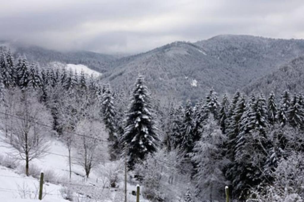 Appartement Dans Vielle Ferme Au Coeur Des Vosges Plainfaing Luaran gambar