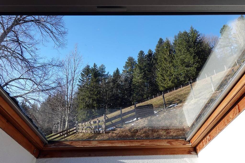 Appartement Dans Vielle Ferme Au Coeur Des Vosges Plainfaing Luaran gambar