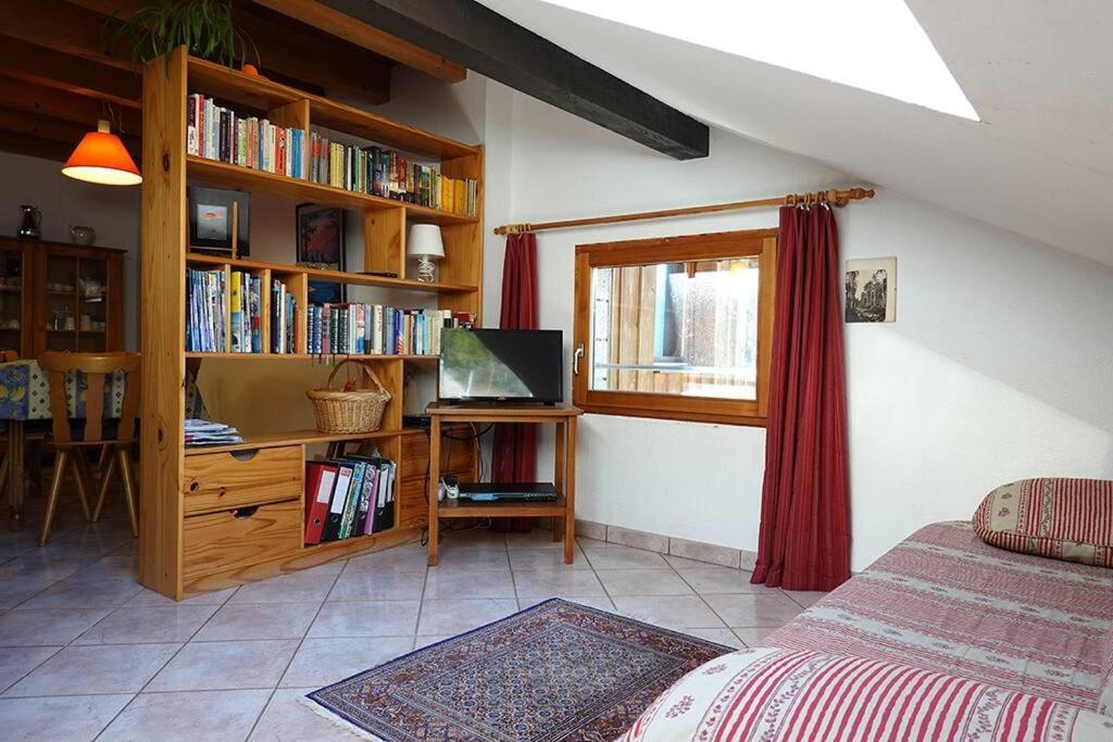 Appartement Dans Vielle Ferme Au Coeur Des Vosges Plainfaing Luaran gambar