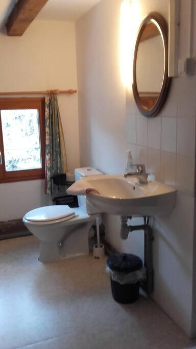 Appartement Dans Vielle Ferme Au Coeur Des Vosges Plainfaing Luaran gambar