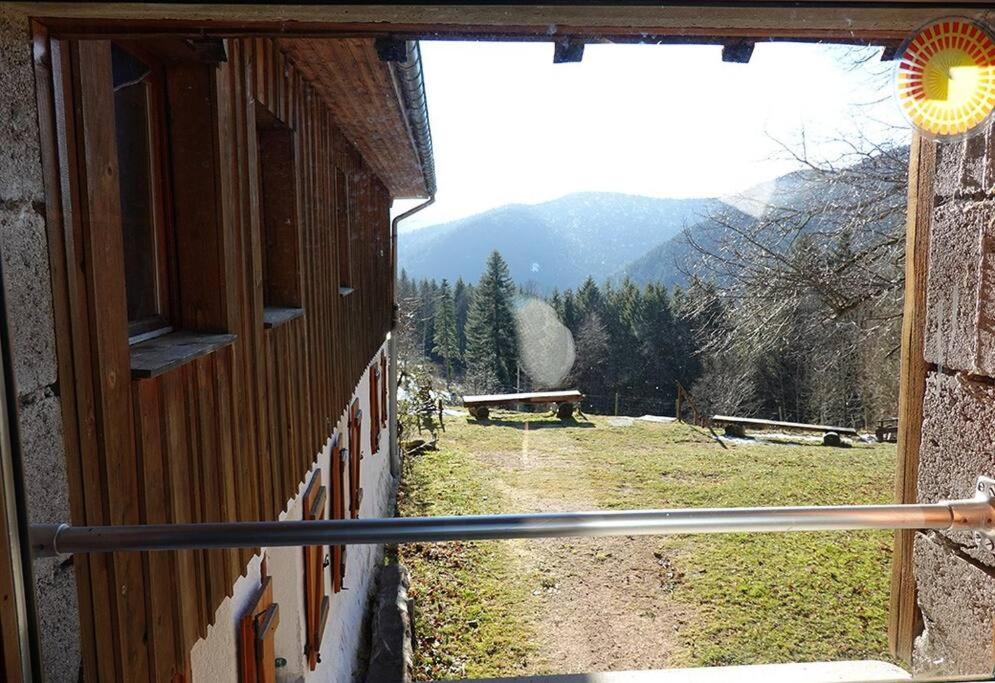 Appartement Dans Vielle Ferme Au Coeur Des Vosges Plainfaing Luaran gambar