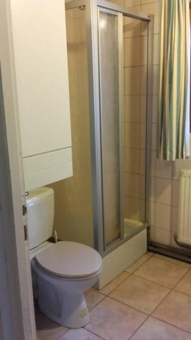 Appartement Dans Vielle Ferme Au Coeur Des Vosges Plainfaing Luaran gambar